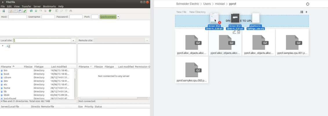 side by side screenshot of 2 FTP clients